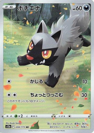 Poochyena - 208/172 - S12a VSTAR Universe Holofoil