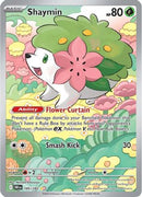 Shaymin 185/182 - Holofoil SV10 Destined Rivals - Illustration Rare