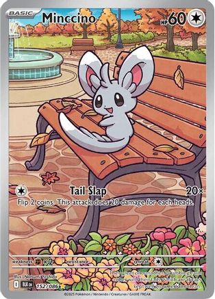 Minccino 152/086 - Holofoil SV Black Bolt - Illustration Rare