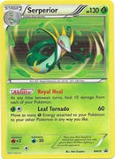 Serperior BW20/101 - Holofoil Black and White Promos - Promo
