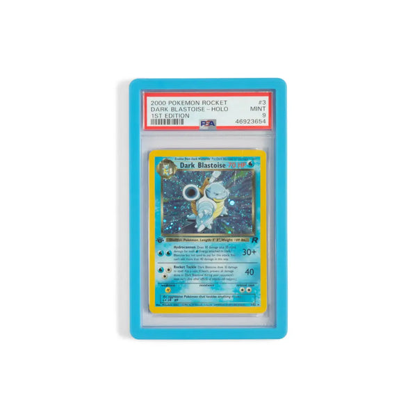 Cardboard Guardian - Guardian Bumper - Sky Blue
