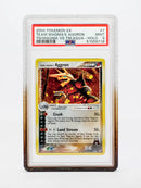 Cardboard Guardian - PSA Vanta Case - Fossil Gradient
